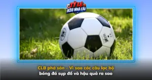 Clb Pha San Vi Sao Cac Cau Lac Bo Bong Da Sup Do Va Hau Qua Ra Sao Img