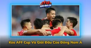 Keo Aff Cup Va Giai Dau Cua Dong Nam A Img