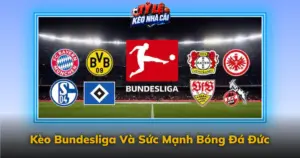 Keo Bundesliga Va Suc Manh Bong Da Duc Img