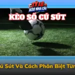 Keo So Cu Sut Va Cach Phan Biet Tung Chi So Img