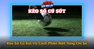 Keo So Cu Sut Va Cach Phan Biet Tung Chi So Img