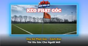 Keo So Phat Goc Cach Doc Tai Xiu Goc Cho Nguoi Moi Img