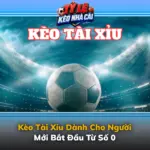 Kèo Tài Xỉu Dành Cho Người Mới Bắt Đầu Từ Số 0 6 Keo Tai Xiu Danh Cho Nguoi Moi Bat Dau Tu So 0 Img