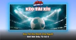 Keo Tai Xiu Danh Cho Nguoi Moi Bat Dau Tu So 0 Img